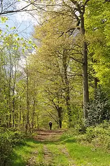 Forêt domaniale de Desvres - Sentier de randonnée GR121