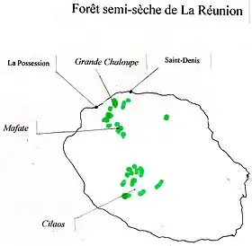 Image illustrative de l’article Forêt de la Grande Chaloupe