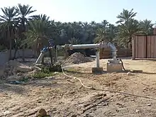 Motopompe de forage, palmiers et cours d'eau.