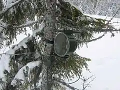 Dissimulée dans un sapin au bord de la route, la mine antichar suédoise Bofors Frdm 14 génère un noyau capable de perforer 60 mm d'acier à blindage à une distance de 30 m.