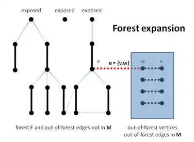 Forest expansion on line B10