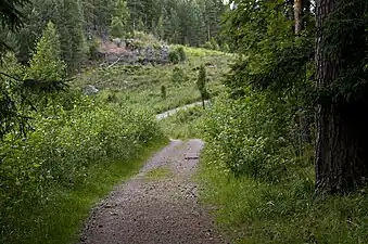 Sentier menant au lac Hältingträsk.