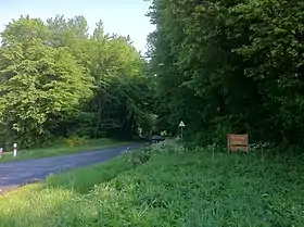 L'orée de la forêt d'Andigny.