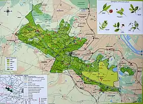 Image illustrative de l’article Forêt de Marly