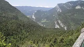 Forêt de Villard-de-Lans, depuis le balcon de Valchevrière