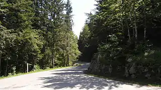 Forêt de Villard, route de Valchevrière