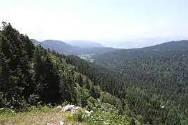 Forêt de Villard, secteur du plateau d'Herbouilly