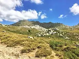 Paysage du plateau avec chaos rocheux et arbustes.