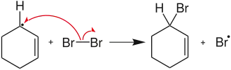 Formation du produit final