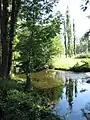 La rivière l'Homme en aval de l'île du terrain de football.