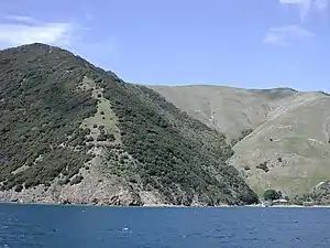 Photographie d'un littoral en forte pente à moitié boisé, vu depuis un bateau.