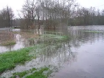 L'inondation annuelle autour du Fossé du Roy.