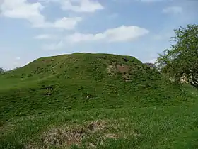 Image illustrative de l’article Château de Fotheringhay