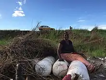 Description de cette image, également commentée ci-après