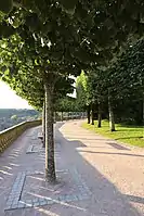 La promenade plantée.