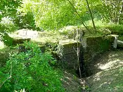 Vestiges des aménagements hydroliques du Vieux moulin.