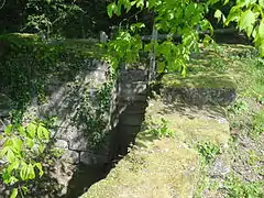 Vestiges des aménagements hydroliques du Vieux moulin.