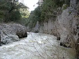 Rio Salazar