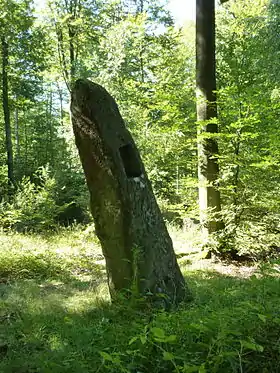 Spitzstein, Volksberg