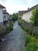 La Meurthe à Fraize (Vosges).