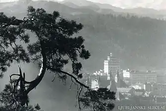 Le centre vu depuis la colline du château de Ljubljana. Photo de Fran Krašovec