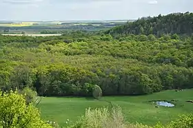 Vue sur le paysage d'Argonne depuis Beaulieu-en-Argonne, à l'est.