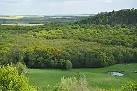 Image illustrative de l’article Ateliers céramiques gallo-romains d'Argonne