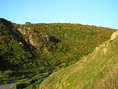 La vallée du Lude à Carolles, au sud-ouest.