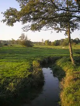 Désertines (Mayenne)