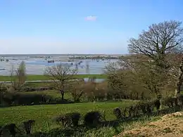 Le marais du Cotentin à Graignes dans l'est.