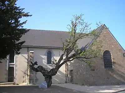 L'aubépine de Saint-Mars-sur-la-Futaie.