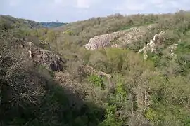 Vue de Vrines depuis la vallée