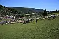 Fête de la transhumance à l'Espérou.