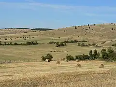 Un paysage de causse.