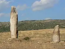 Cham des Bondons (Menhirs de la Veissière)