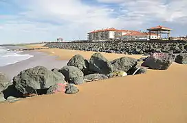 Épi à Anglet