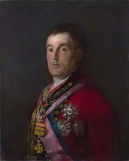 Portrait en buste du duc de Wellington, légèrement tourné vers la gauche. Le sujet porte un uniforme d'officier britannique du dix-huitième siècle, arborant de nombreuses décorations dont plusieurs rubans et une grande étoile.