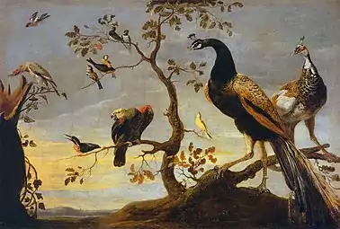 Oiseaux perchés, années 1630, Louvre