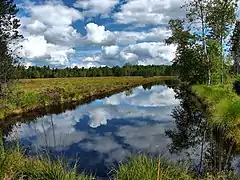 Tourbières de Frasne, ancien bassin d'extraction.