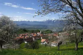 Village de Fraxern avec cerisiers en fleur ; en arrière plan, la vallée du Rhin et les Alpes suisses.