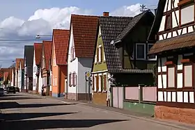 Freckenfeld