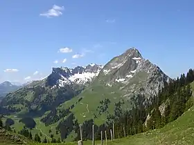 La Dent de Brenleire et en arrière-plan le Vanil Noir.