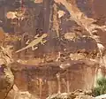 Pétroglyphes de lézards sur une falaise de grès quartzeux.