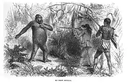 Dessin en noir et blanc d'un homme mettant en joue un gorille dans la forêt.