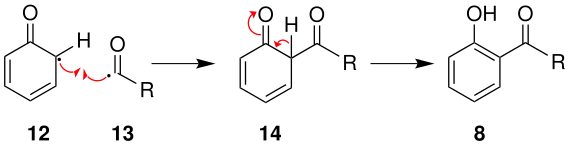 Réarrangement en position ortho.