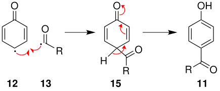 Réarrangement en position para.