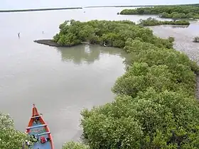 Vue de la lagune de Muthupet.