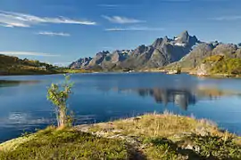 Derrière un petit promontoire herbeux et un minuscule arbuste, une belle étendue d'eau bleue, de grandes montagnes pierreuses grandissent dans le ciel.