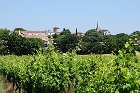 Vue générale de Vérargues depuis les vignes.