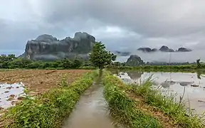 Vue de face d'un ruisseau avec un arbre comme point de convergence, des montagnes et de la brume, tôt le matin, durant la mousson, dans la campagne de Vang Vieng.
